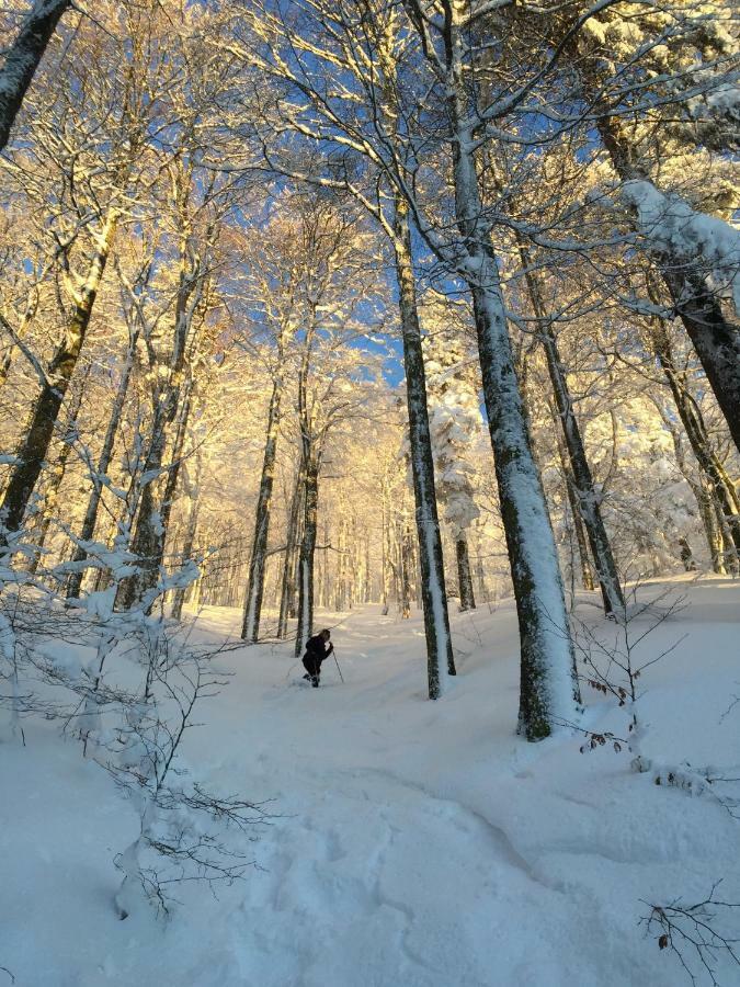 Les Prairies Du Lac Жерарме Экстерьер фото